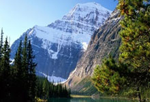 不莱梅克星表现出色，一战成名