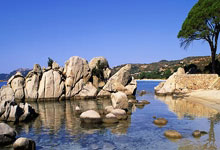 狼队爆冷横扫对手，稳居中上游