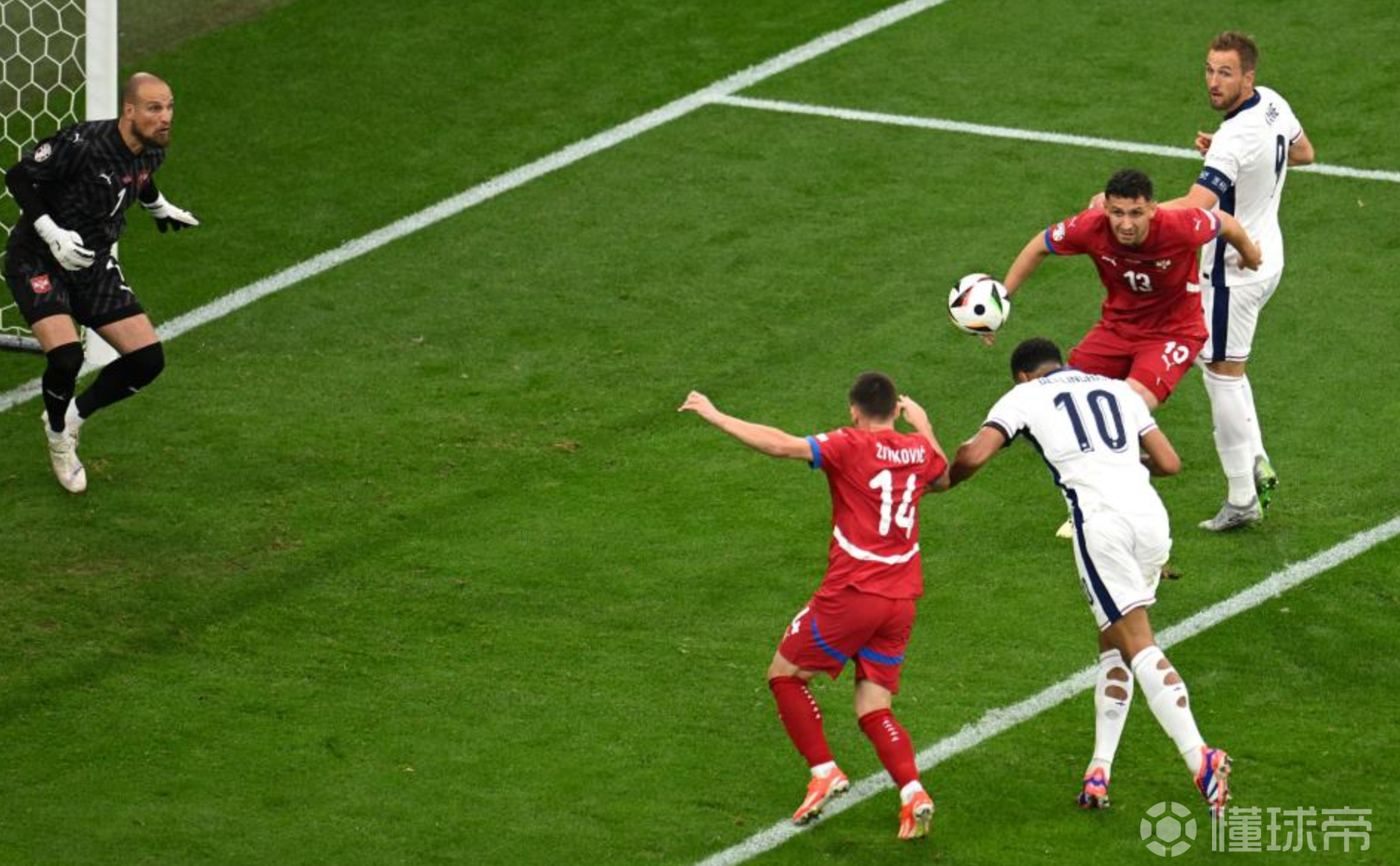 塞尔维亚主场不敌阿根廷欧洲杯梦碎 塞尔维亚主场不敌阿根廷欧洲杯梦碎