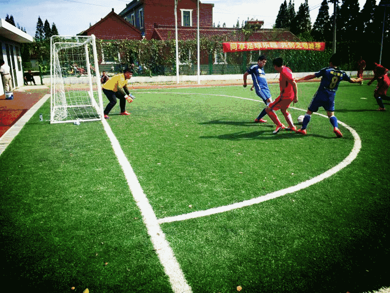 关于最新足球动态：女子足球赛场上的精彩一瞥！的信息